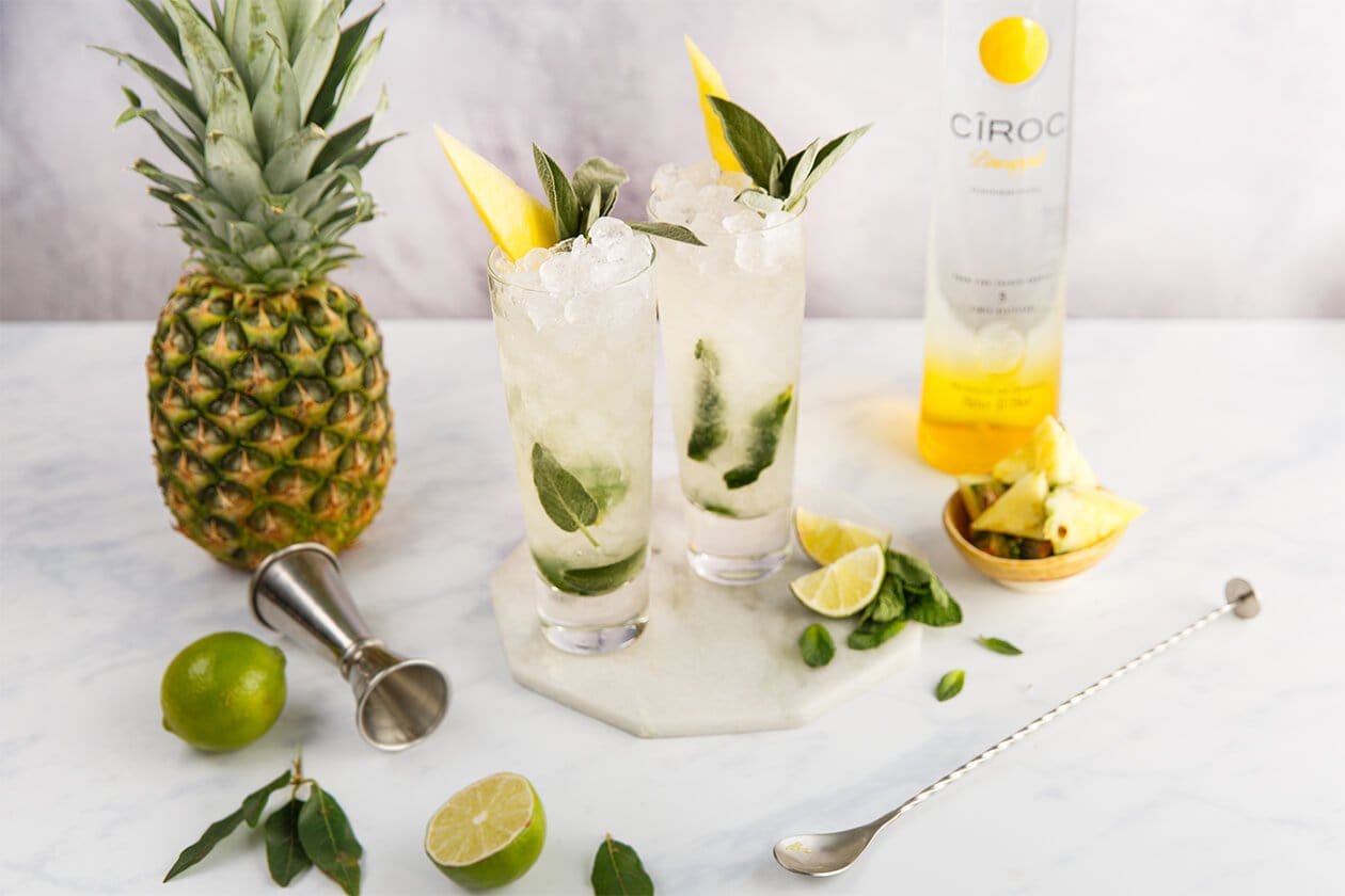 16 Ciroc Cocktails & What to Mix